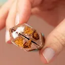 Biscoff Funsize  2.webp