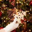 Christmas Three 2.webp