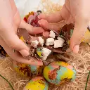 Spring Chicks 4.webp