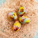 Spring Chicks 2.webp