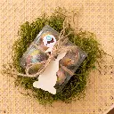 Spring Chicks 3.webp