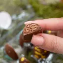 Specktacular Six 3.webp