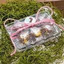 Specktacular six 4.webp