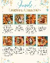 Inside Celestial Collection.webp