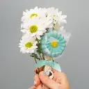 I Pick You